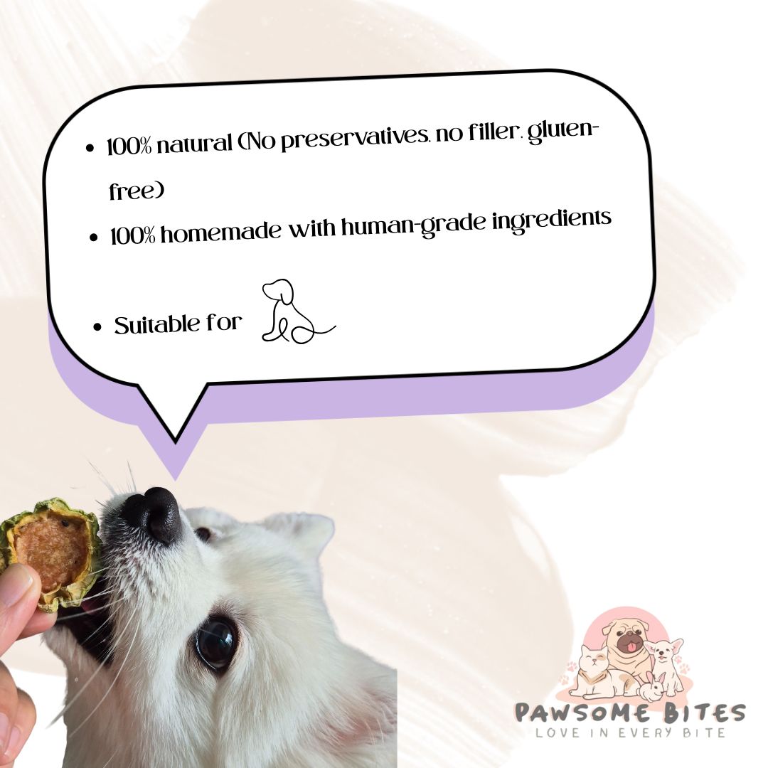 Chicken/Pork/Beef/Duck Jerky with Bittergourd Single Ingredient Pet Treat Dog Treat Cat Treat Fresh Treat