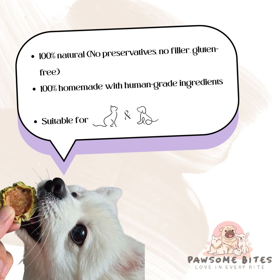 Chicken/Pork/Beef/Duck Jerky with Chinese Yam Single Ingredient Pet Treat Dog Treat Cat Treat Fresh Treat